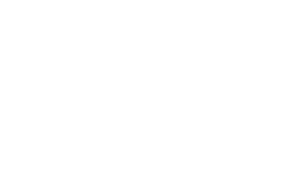 Carnegie Deli logo