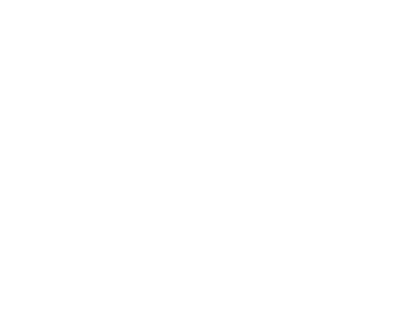 Wizard Burger logo
